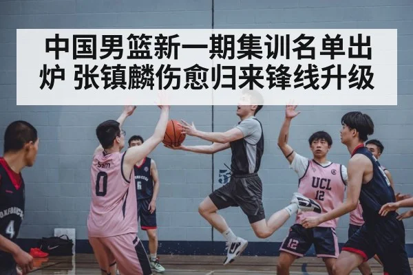 中国男篮新一期集训名单出炉 张镇麟伤愈归来锋线升级