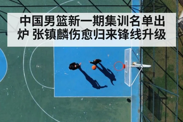 basketball court action