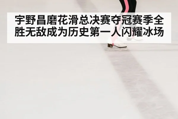 figure skating rink